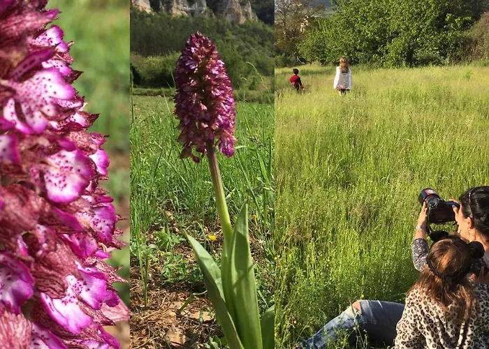 La Cerise Qui Rit La Cresse