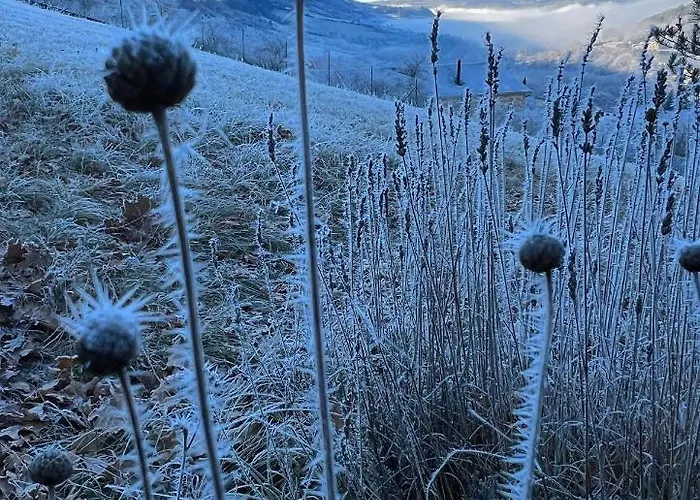 La Cerise Qui Rit La Cresse