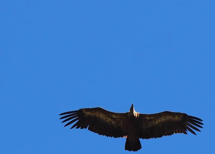 La Cerise Qui Rit 別荘