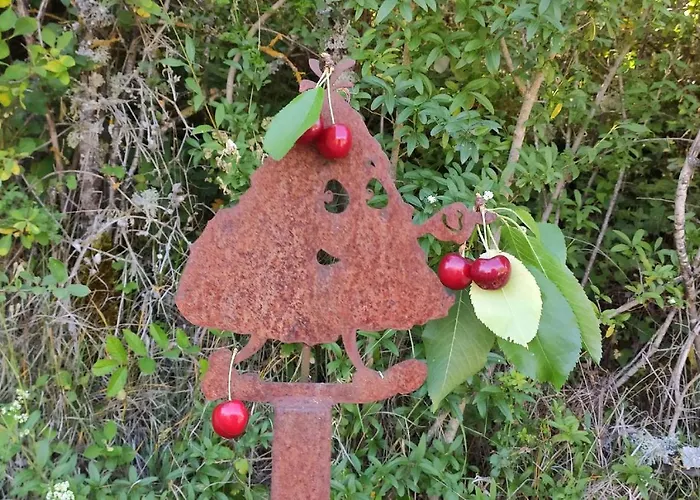 La Cerise Qui Rit La Cresse