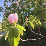 Feriehus La Cerise Qui Rit