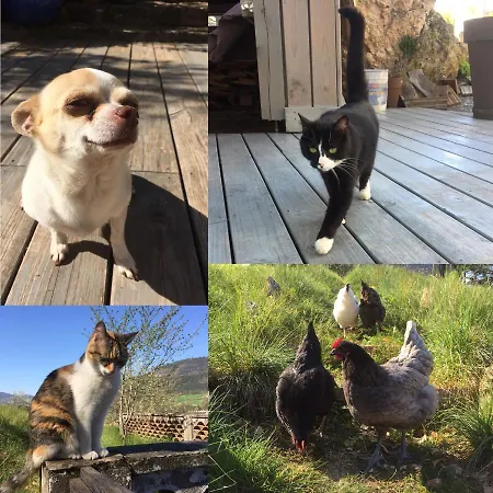 La Cerise Qui Rit Casa vacanze *