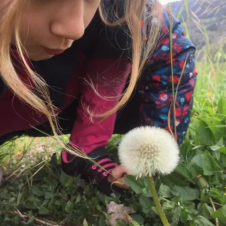 Сasa de vacaciones La Cerise Qui Rit