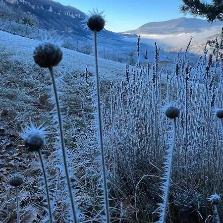 La Cerise Qui Rit La Cresse