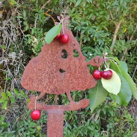 La Cerise Qui Rit La Cresse