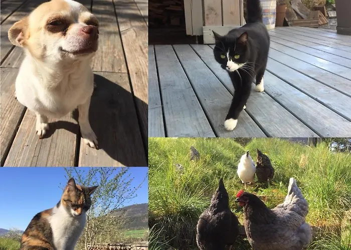 La Cerise Qui Rit Nyaraló *