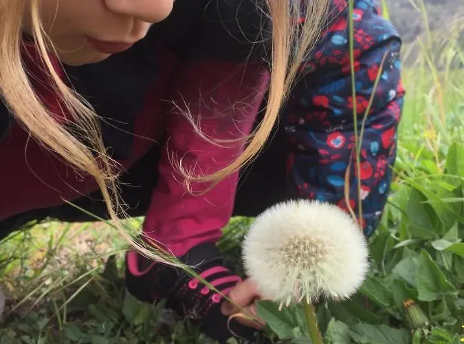 Nyaraló La Cerise Qui Rit