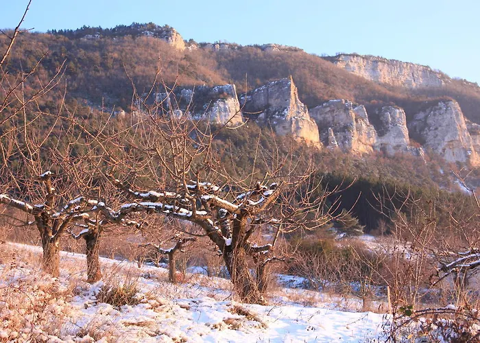 La Cerise Qui Rit La Cresse
